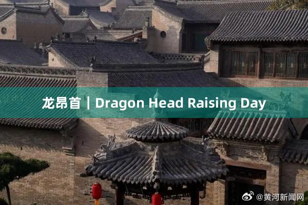 龙昂首｜Dragon Head Raising Day