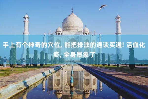 手上有个神奇的穴位, 能把排浊的通谈买通! 活血化瘀, 全身景象了