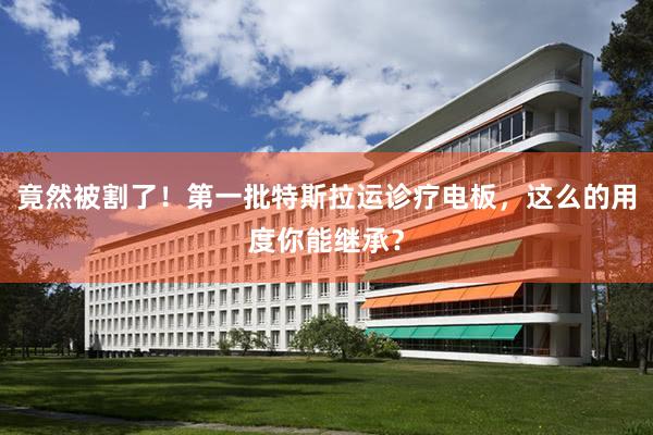 竟然被割了！第一批特斯拉运诊疗电板，这么的用度你能继承？