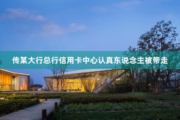传某大行总行信用卡中心认真东说念主被带走