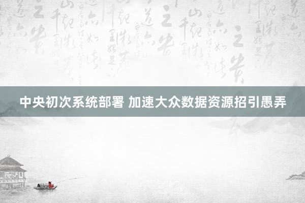 中央初次系统部署 加速大众数据资源招引愚弄