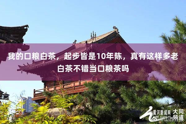 我的口粮白茶，起步皆是10年陈，真有这样多老白茶不错当口粮茶吗