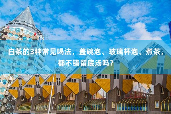 白茶的3种常见喝法，盖碗泡、玻璃杯泡、煮茶，都不错留底汤吗？