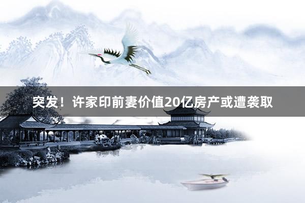 突发！许家印前妻价值20亿房产或遭袭取
