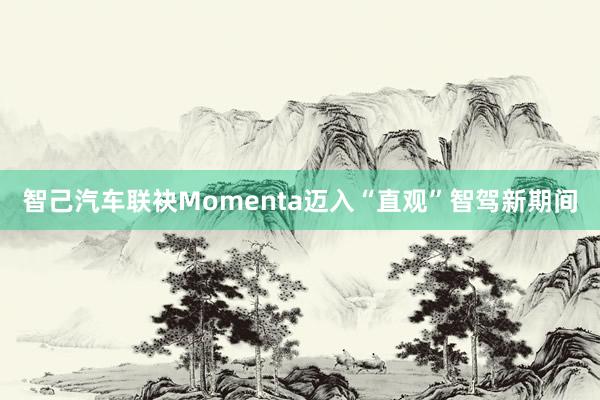 智己汽车联袂Momenta迈入“直观”智驾新期间