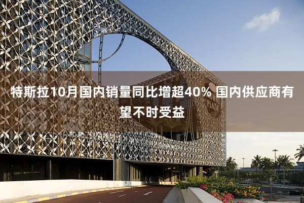 特斯拉10月国内销量同比增超40% 国内供应商有望不时受益