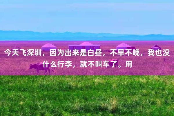 今天飞深圳，因为出来是白昼，不早不晚，我也没什么行李，就不叫车了。用