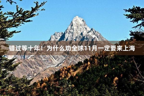 错过等十年！为什么劝全球11月一定要来上海