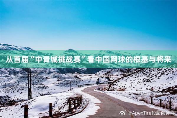 从首届“中青城挑战赛”看中国网球的根基与将来