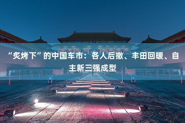 “炙烤下”的中国车市：各人后撤、丰田回暖、自主新三强成型