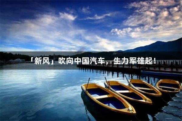 「新风」吹向中国汽车，生力军雄起！