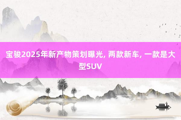 宝骏2025年新产物策划曝光, 两款新车, 一款是大型SUV