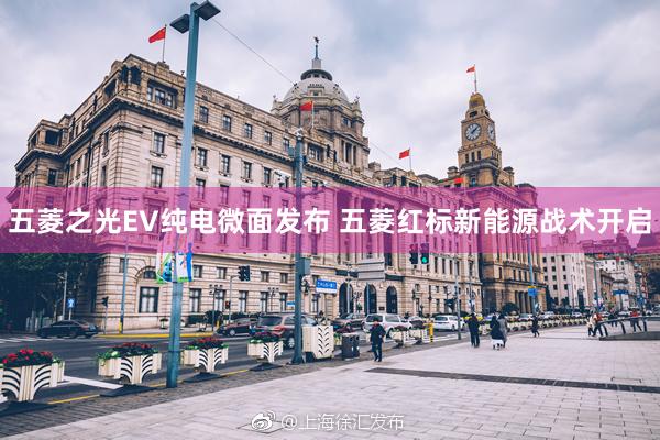 五菱之光EV纯电微面发布 五菱红标新能源战术开启