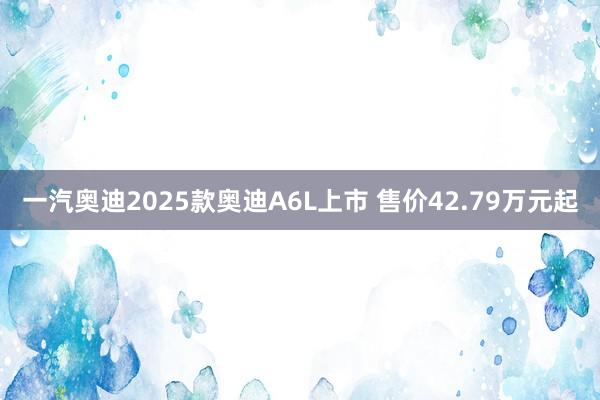 一汽奥迪2025款奥迪A6L上市 售价42.79万元起