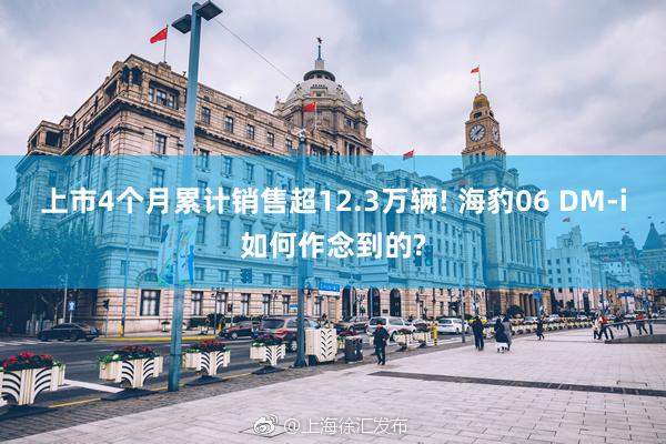 上市4个月累计销售超12.3万辆! 海豹06 DM-i如何作念到的?