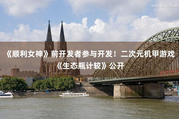 《顺利女神》前开发者参与开发！二次元机甲游戏《生态瓶计较》公开