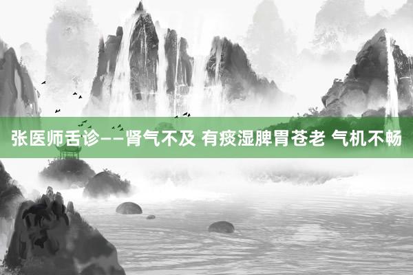 张医师舌诊——肾气不及 有痰湿脾胃苍老 气机不畅