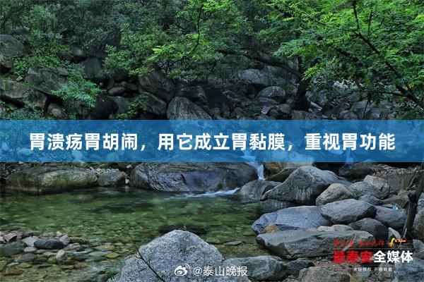 胃溃疡胃胡闹,用它成立胃黏膜,重视胃功能