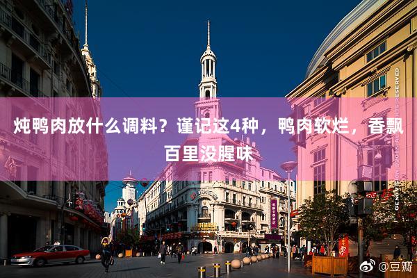 炖鸭肉放什么调料？谨记这4种，鸭肉软烂，香飘百里没腥味